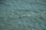 resIMG_20140617_183402_2484.JPG